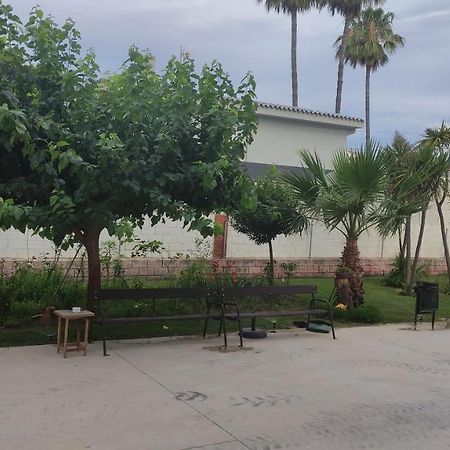 Apartamento Con Piscina Y Cerca De La Playa Apartment Benicàssim Екстериор снимка